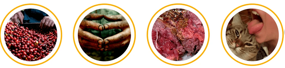 How parasites enter the body