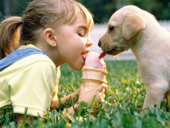 Infection through pets