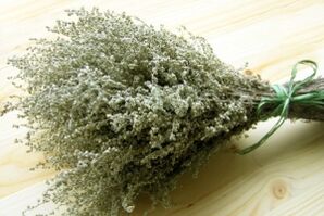 Wormwood to eliminate parasites